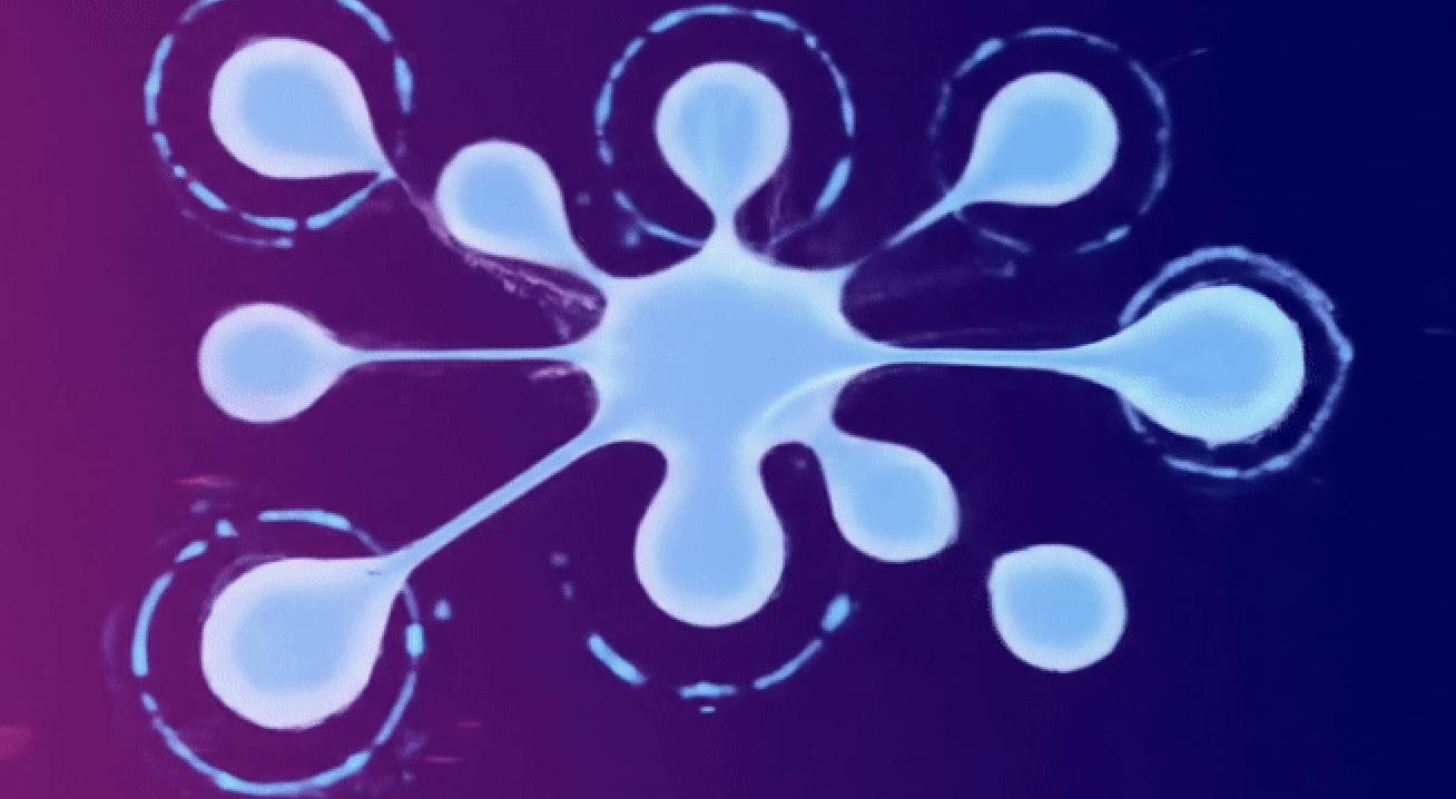Promptu visualization